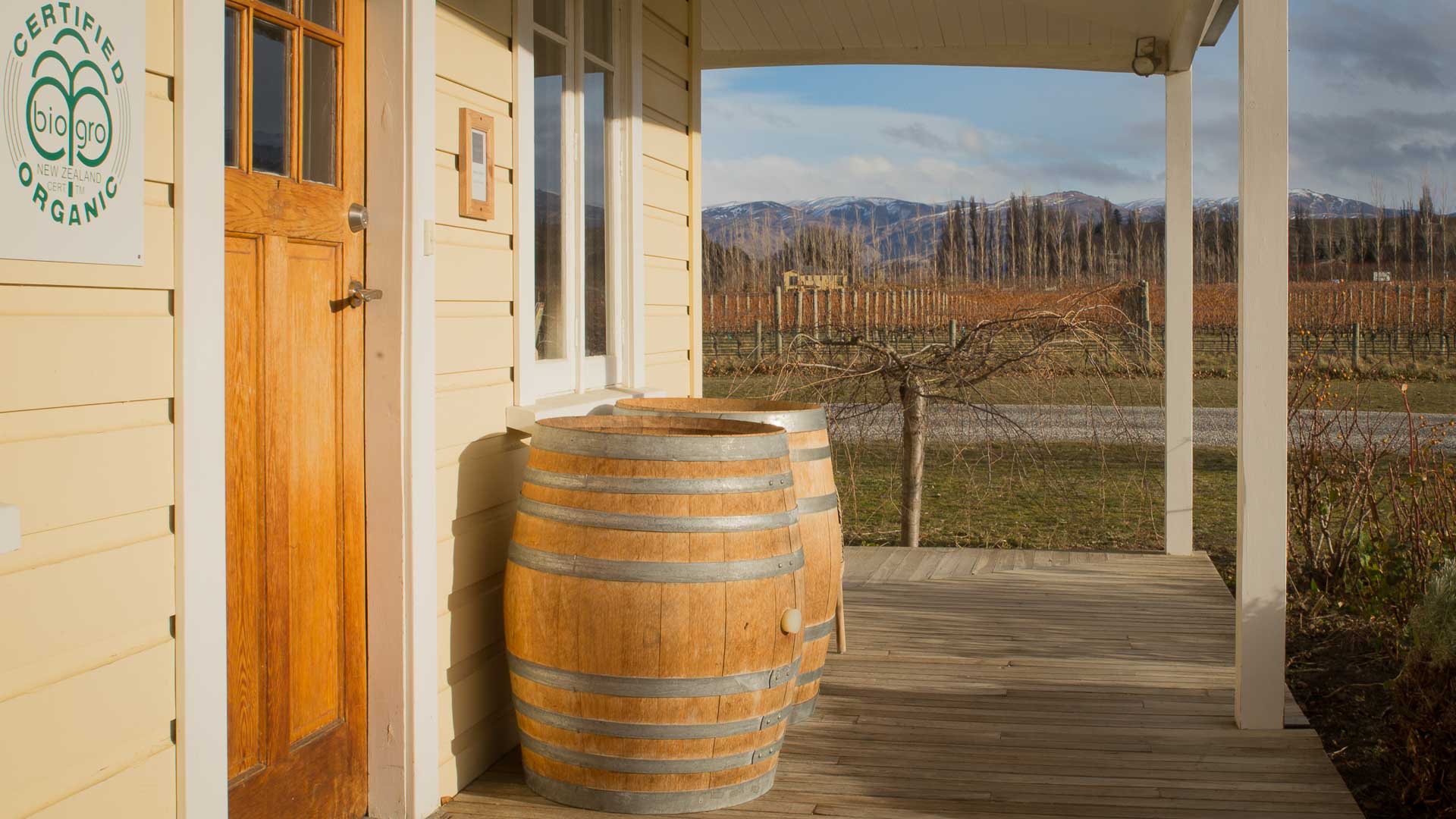 Aurum Vinyard, Central Otago New Zealand